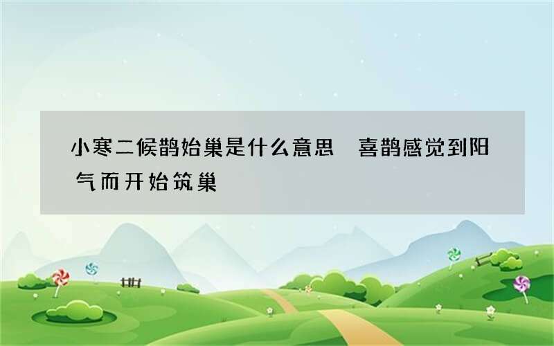 小寒二候鹊始巢是什么意思 喜鹊感觉到阳气而开始筑巢